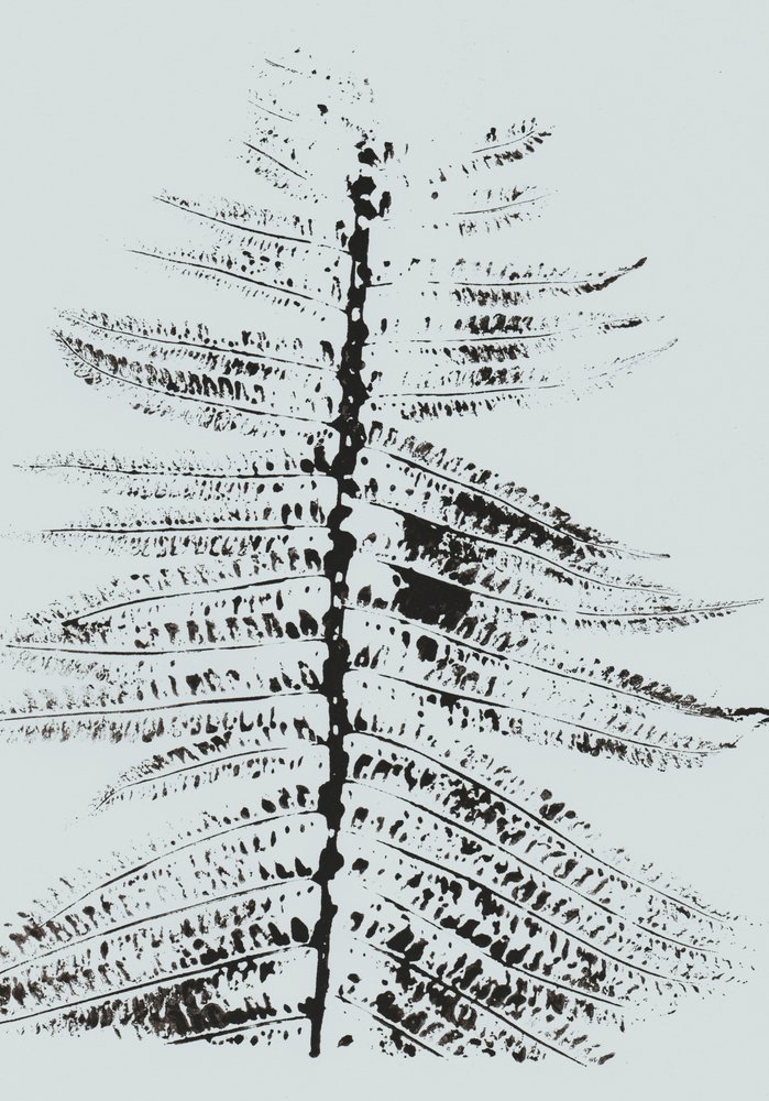 Black Ink Fern door Maira Ribena