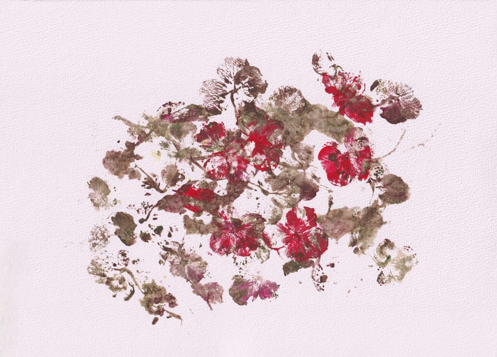 Aardse bloemenimpressies door Maira Ribena