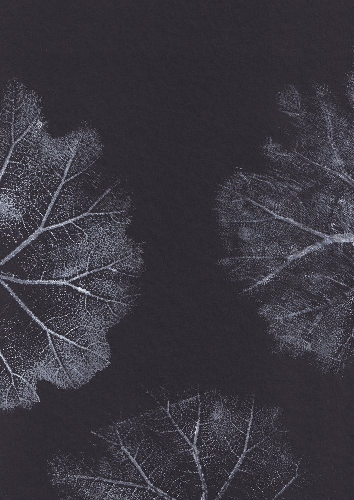 Monochrome bladtexturen door Maira Ribena