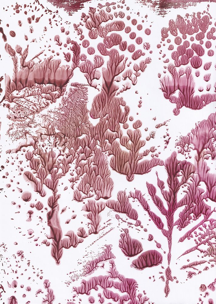 Organische Maroon Flow door Maira Ribena