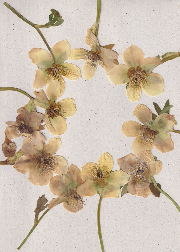 Krans van gedroogde bloemen door Maira Ribena
