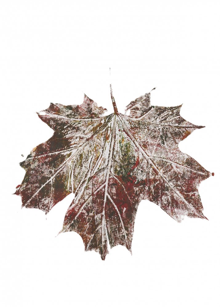 Rustiek herfstblad door Maira Ribena