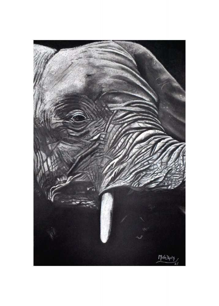  door Marchelle de Kock