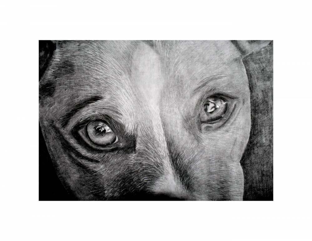  door Marchelle de Kock