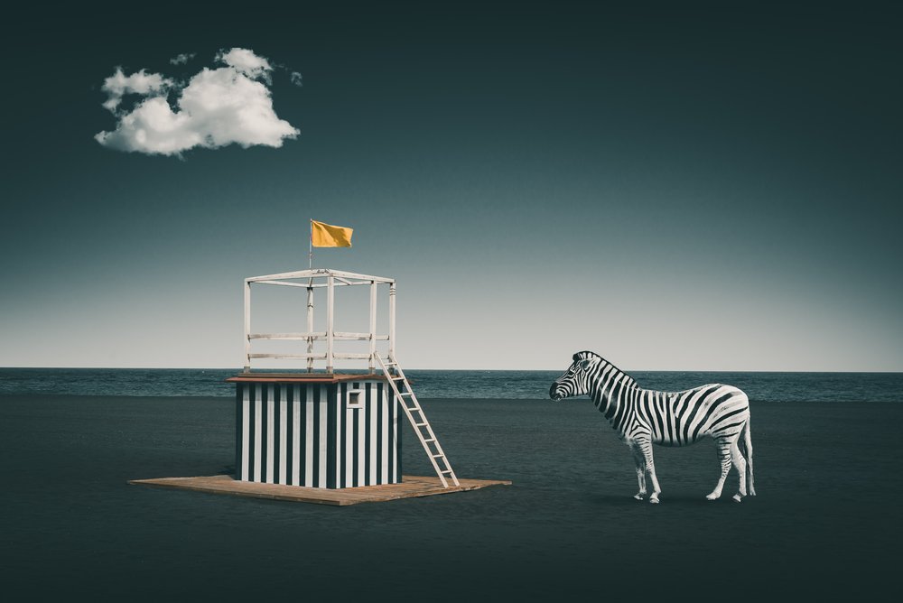 Surreal Beach Zebra door Marcus Hennen
