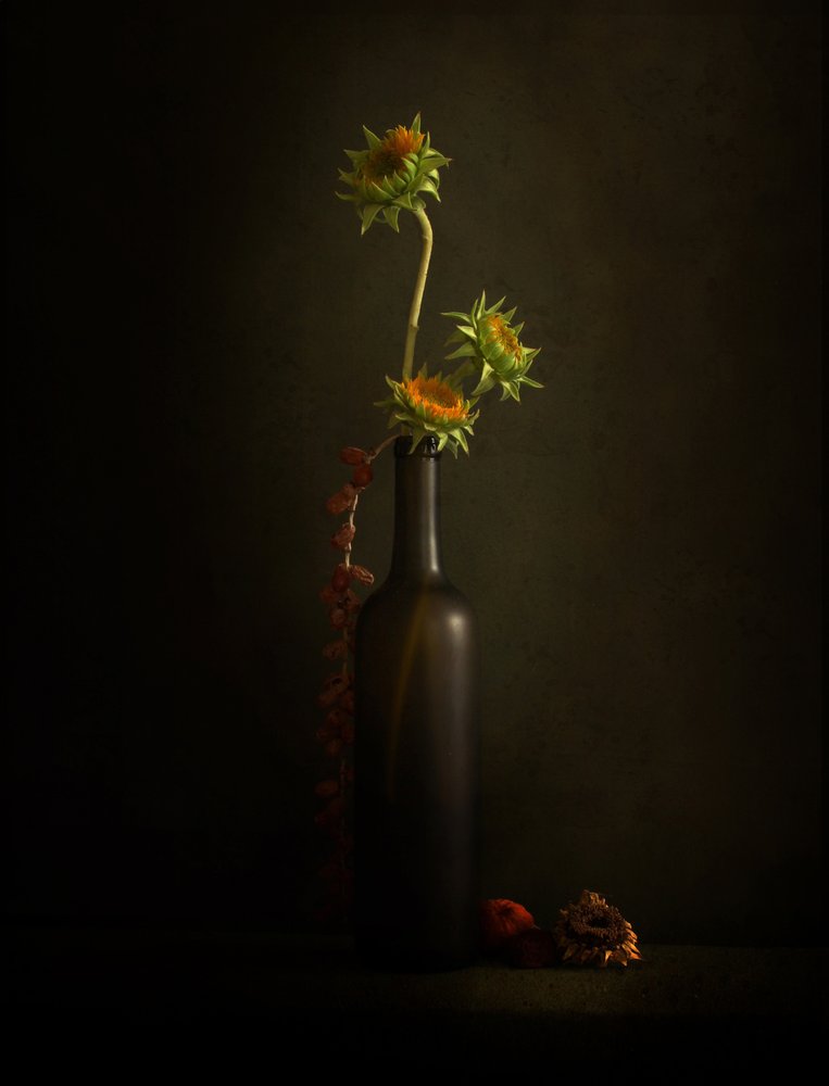 Stilleven met een stemmige zonnebloem door Margaret Halaby