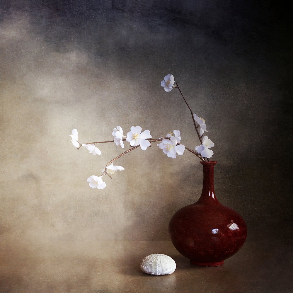 Rustige kersenbloesems door Margaret Halaby