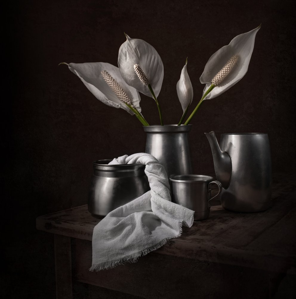 Elegante vredeslelies door Margareth Perfoncio