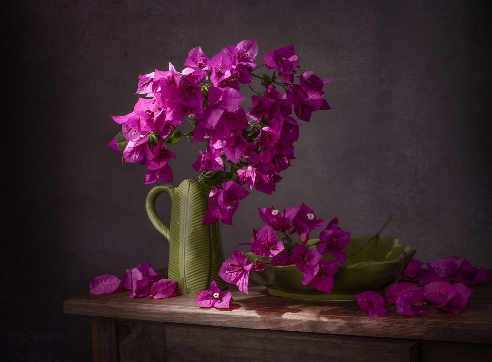 Levendig stilleven met bougainvillea door Margareth Perfoncio