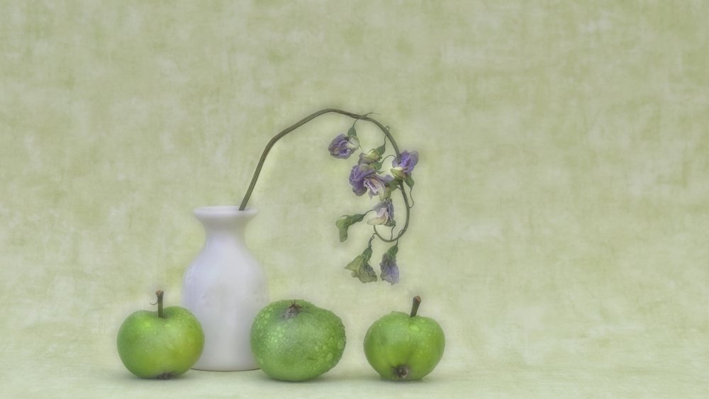 Verfijnd botanisch stilleven door Marie-anne Stas