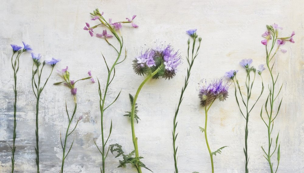 Etherische stengels van wilde bloemen door Marie-anne Stas