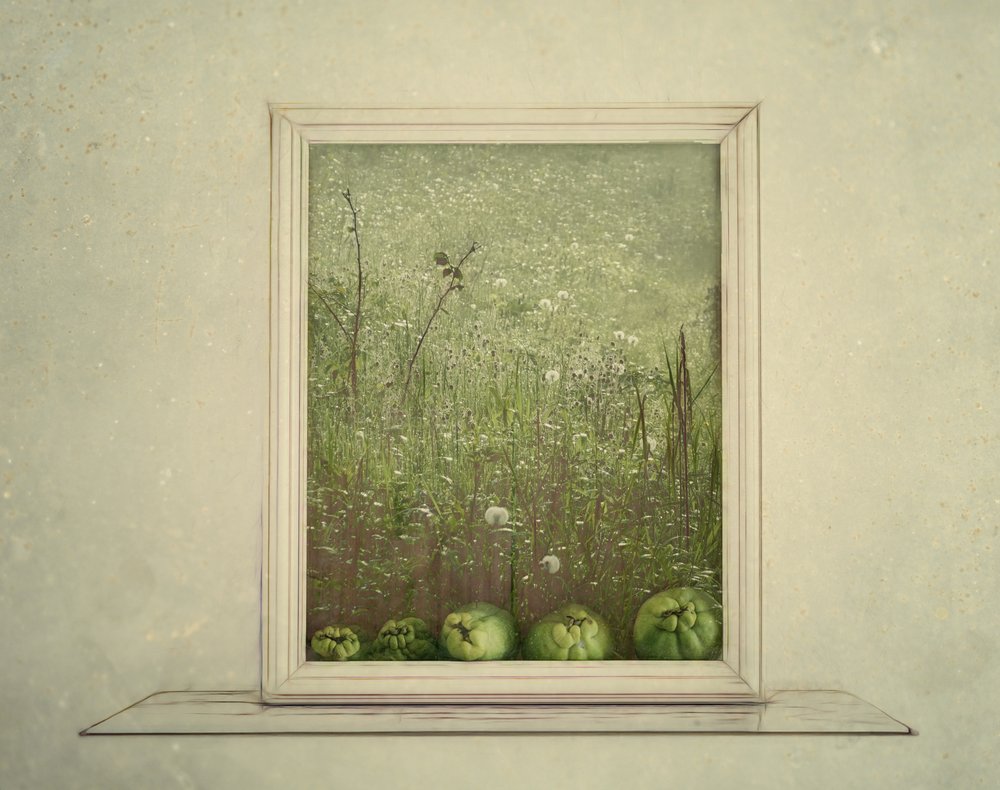  door Marie-anne Stas