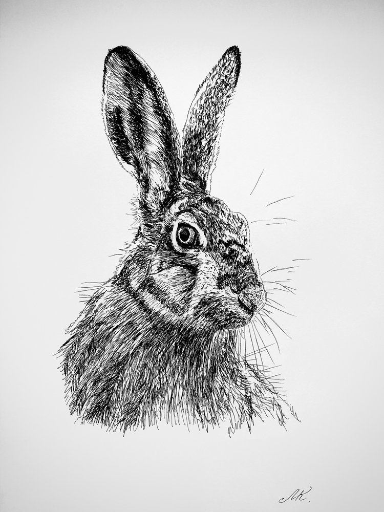 Tekening van een nieuwsgierig konijn door Marina Kozyr
