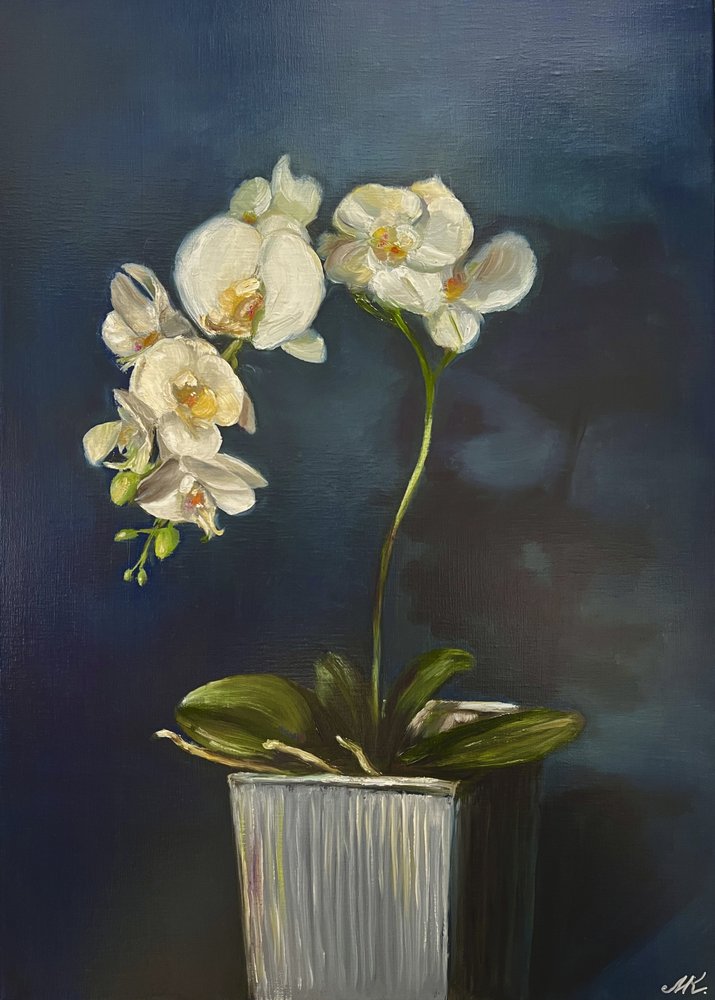 Elegante orchidee in pot door Marina Kozyr