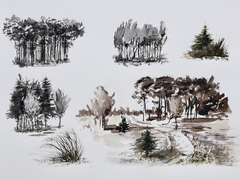 Studies van bosbomen door Marina Kozyr