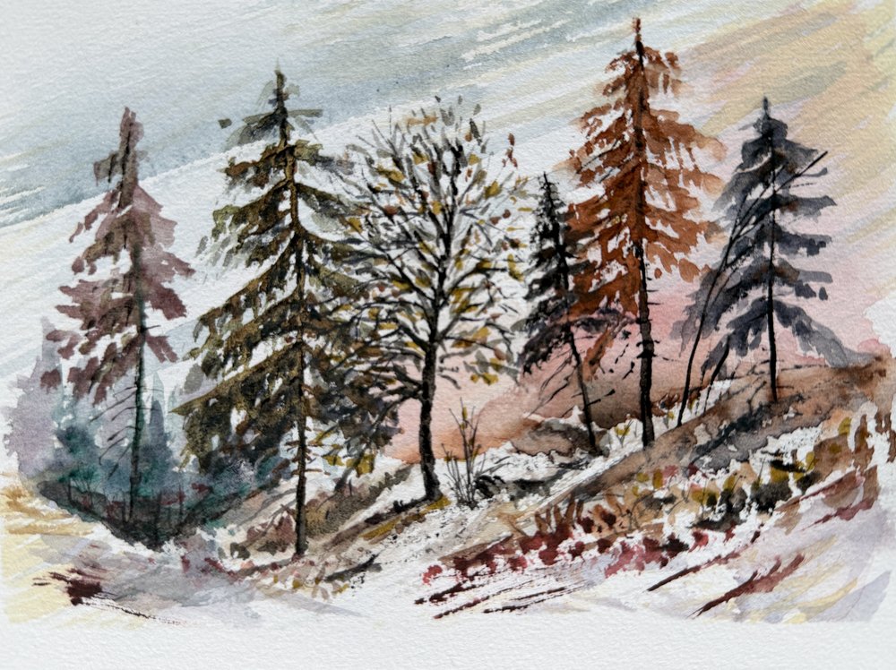 Besneeuwde bosdageraad door Marina Kozyr