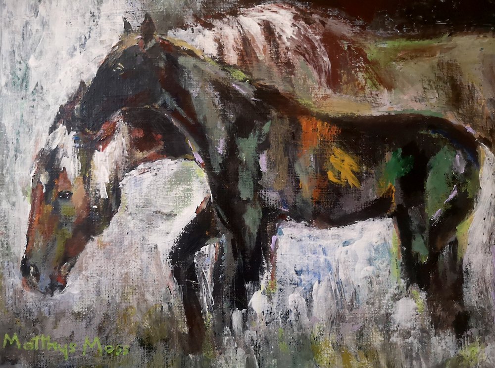 Kleurrijke wilde paarden door Matthys Moss