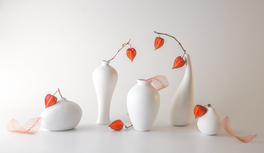 Stilleven met oranje physalis door May G