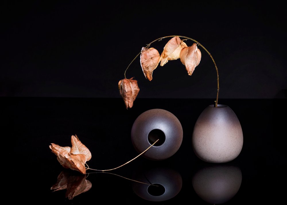 Gedroogde Chinese lantaarns door Ming Chen