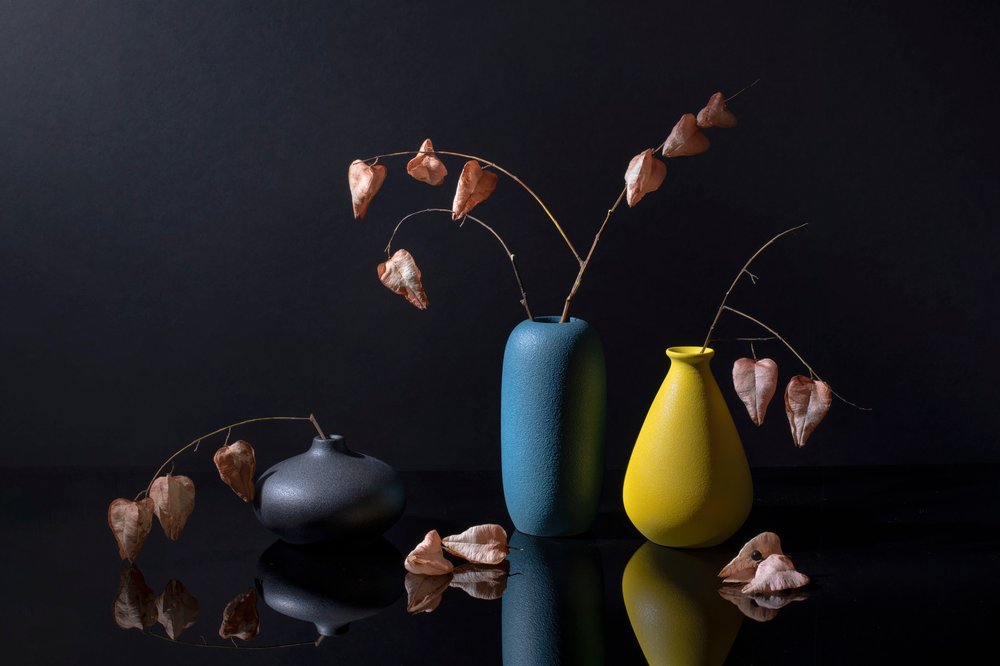 Moderne botanische vazen door Ming Chen