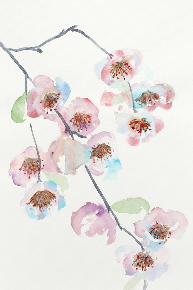 Delicate roze bloesems door Natalie Bruns