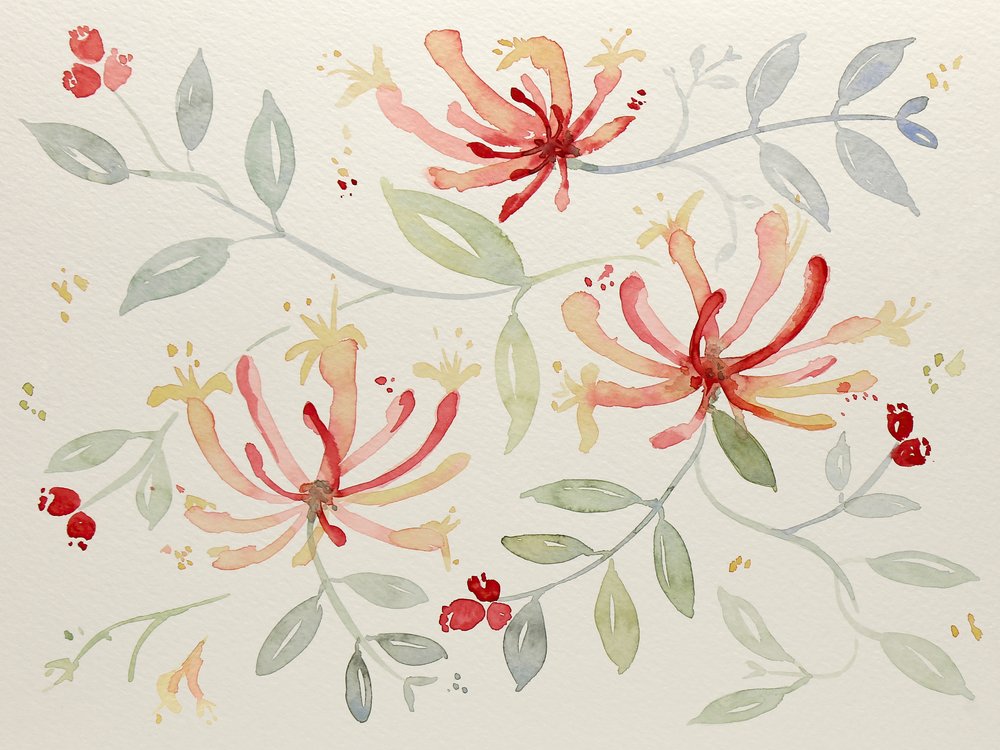 Verfijnde botanische aquarellen door Natalie Bruns