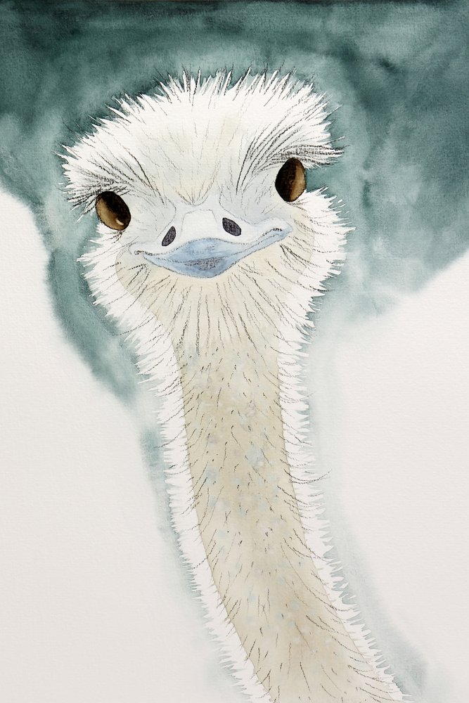 De vrolijke struisvogel uit Afrika door Natalie Bruns