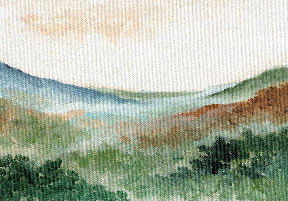 Misty Mountain Valley door Nikita Jariwala