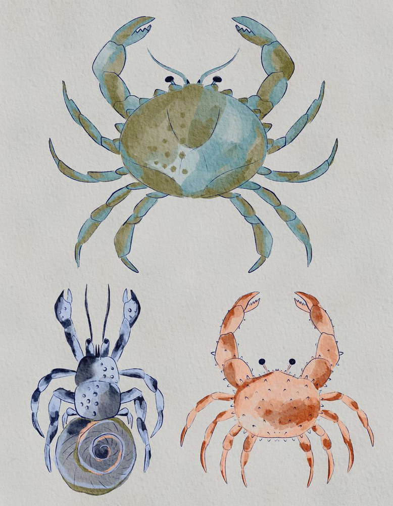Oceaankrabben in aquarel door Nikita Jariwala