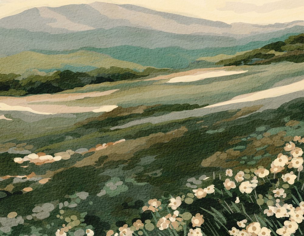 Landschap van Wildflower Mountain door Nikita Jariwala