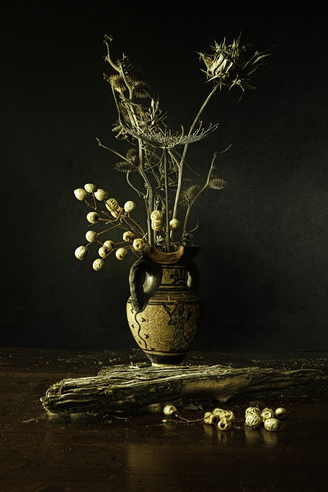 Aards botanisch stilleven door Noam Mymon