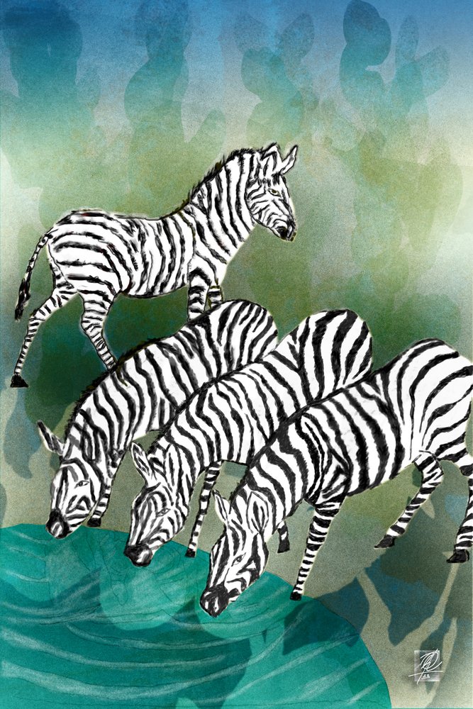 Zebra’s bij de drinkplaats door Osvaldo Russo