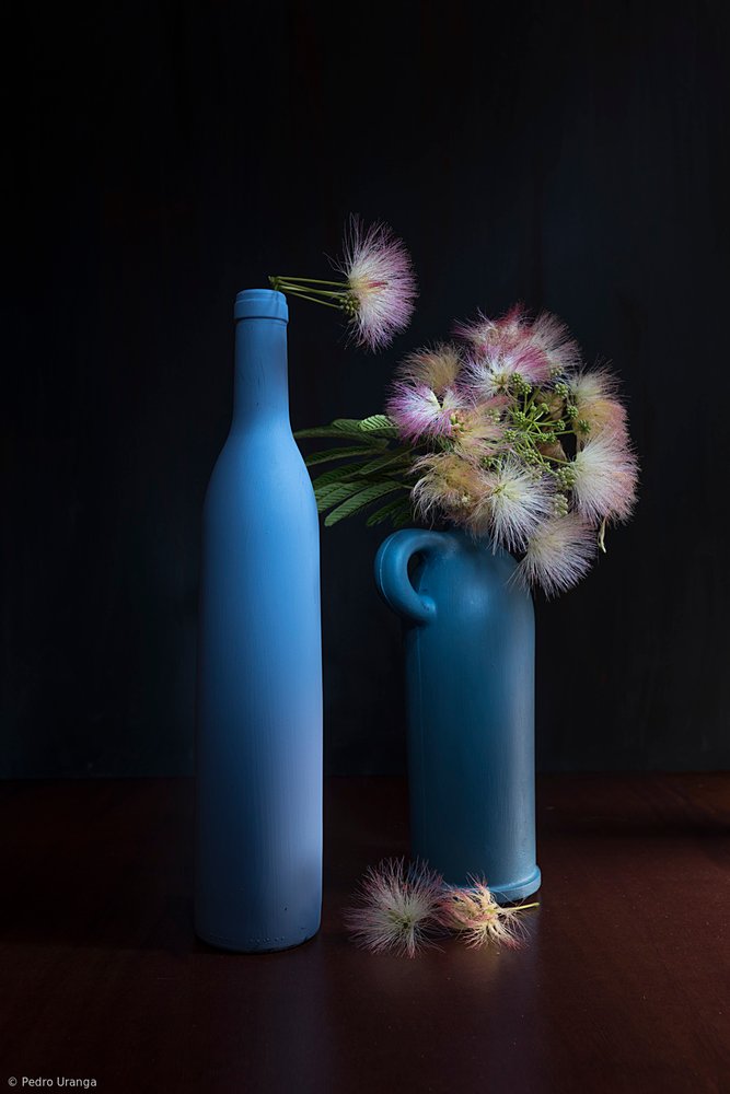 Botanische blauwen en rozetinten door Pedro Uranga