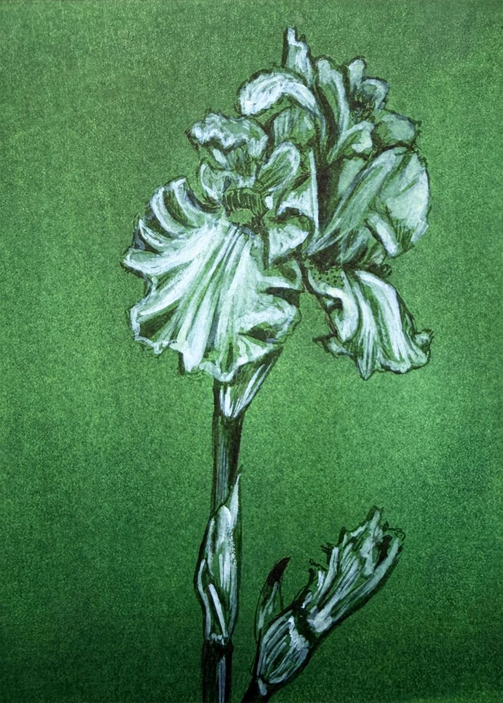 Elegante groene iris door Renee Machan Cottagecore Artist