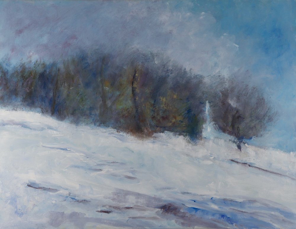 Besneeuwd winterbos door Richard Gombar