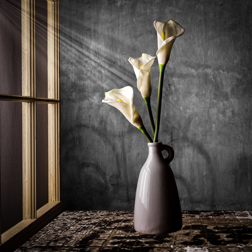 Calla-lelies in het zonlicht door Rob Ryan