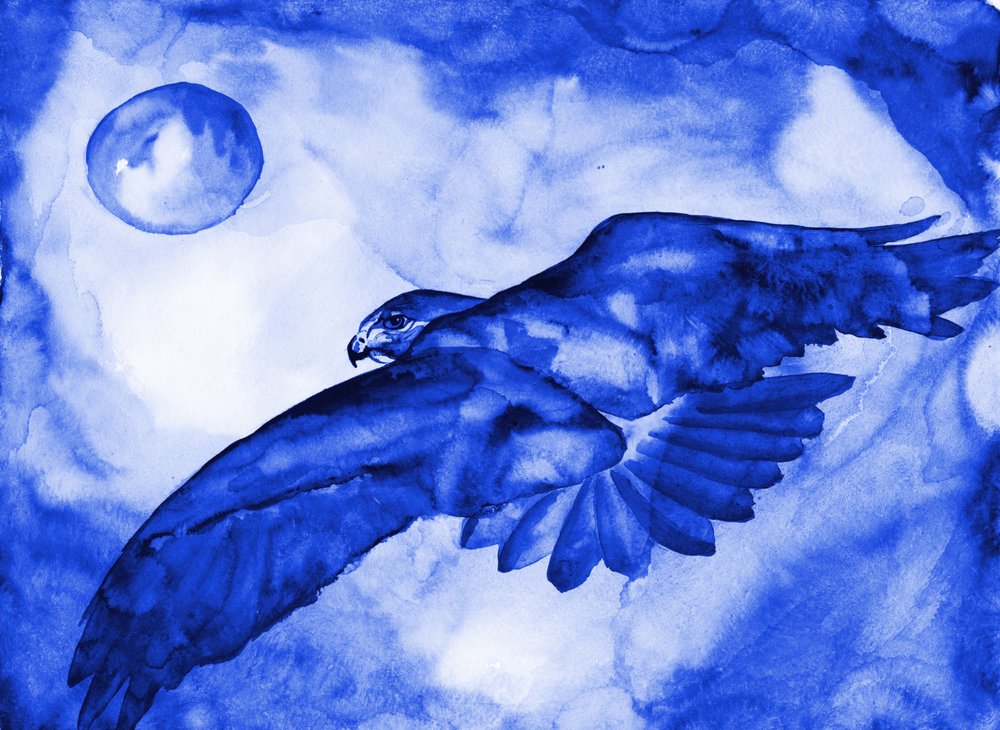 Blue Hawk Moon-vlucht door RodMacIver