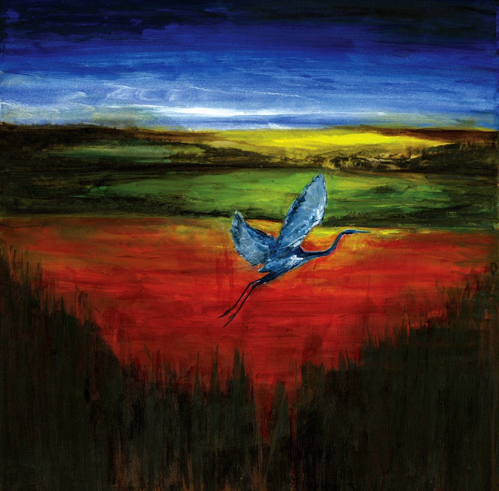 Blauwe reiger in levendige vlucht door RodMacIver