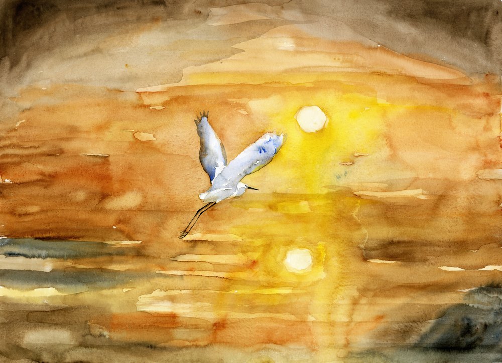 De vlucht van de zilverreiger bij de gouden zonsondergang door RodMacIver