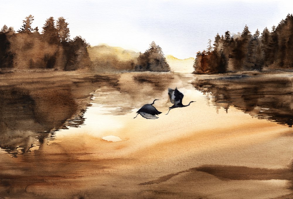 De vlucht van de vogels boven het Gouden Meer door RodMacIver