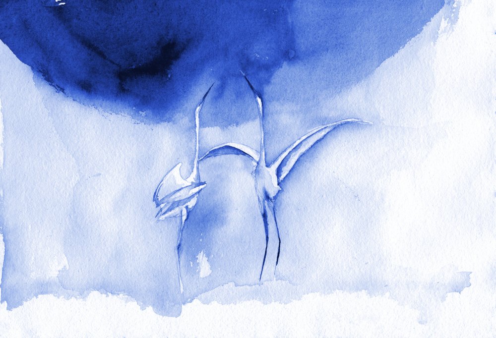 Sierlijke blauwe vogels door RodMacIver