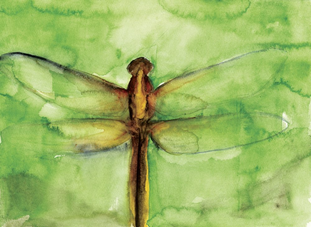 Groene libel in aquarel door RodMacIver
