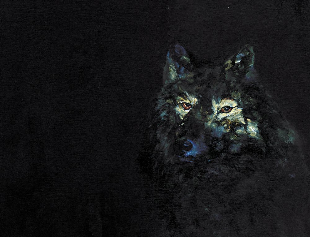 De mysterieuze zwarte wolf door RodMacIver