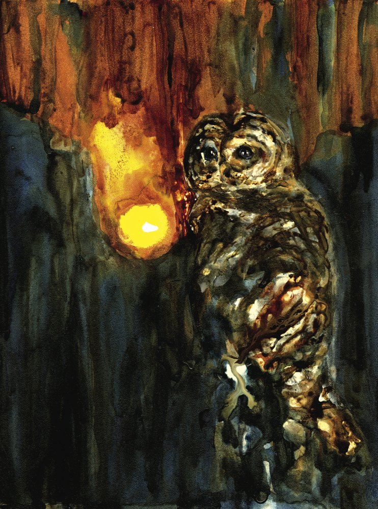Mystieke uilenlamp door RodMacIver