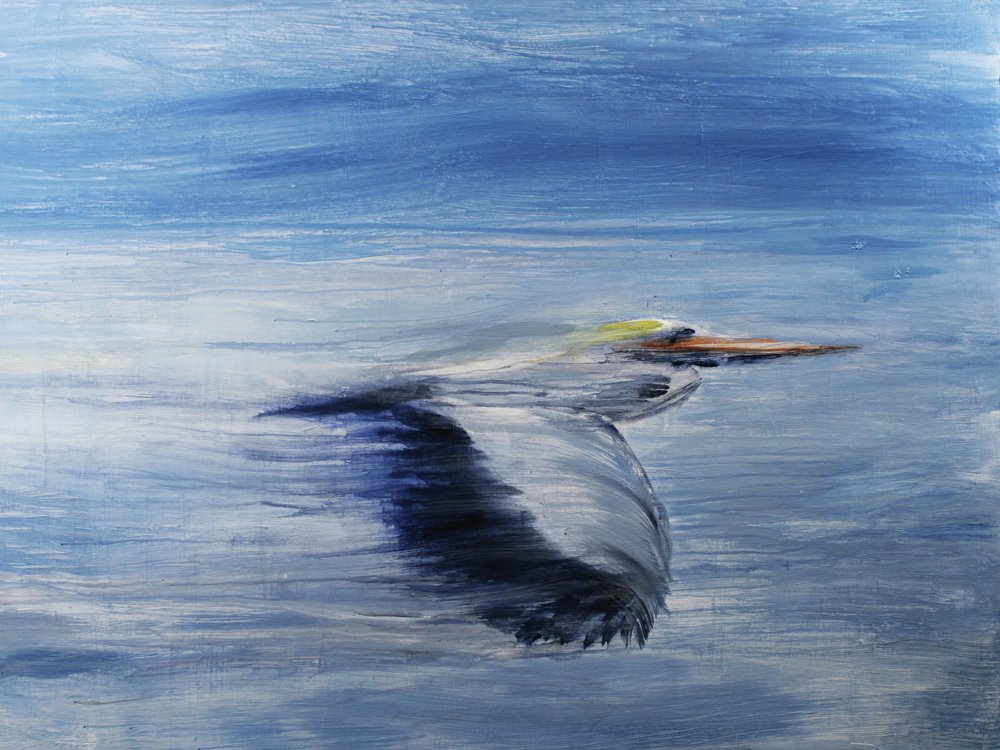 Serene vogelvlucht door RodMacIver
