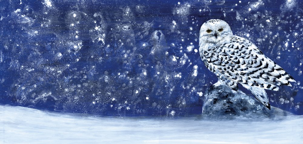 Besneeuwde avond 60 x 28 door RodMacIver