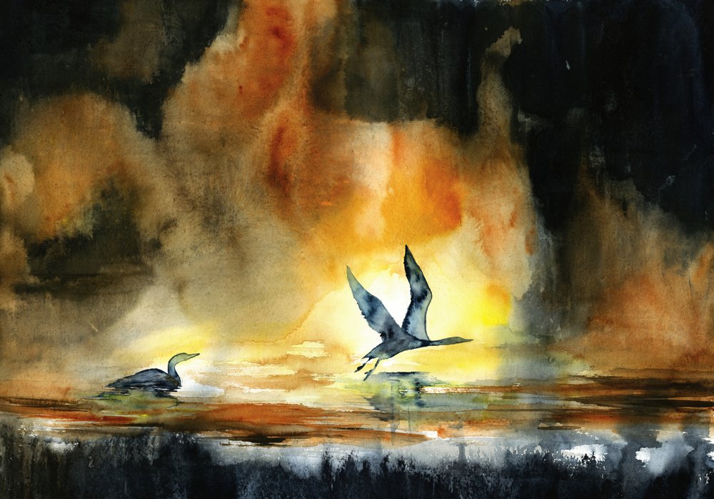 Watervogels bij zonsondergang door RodMacIver