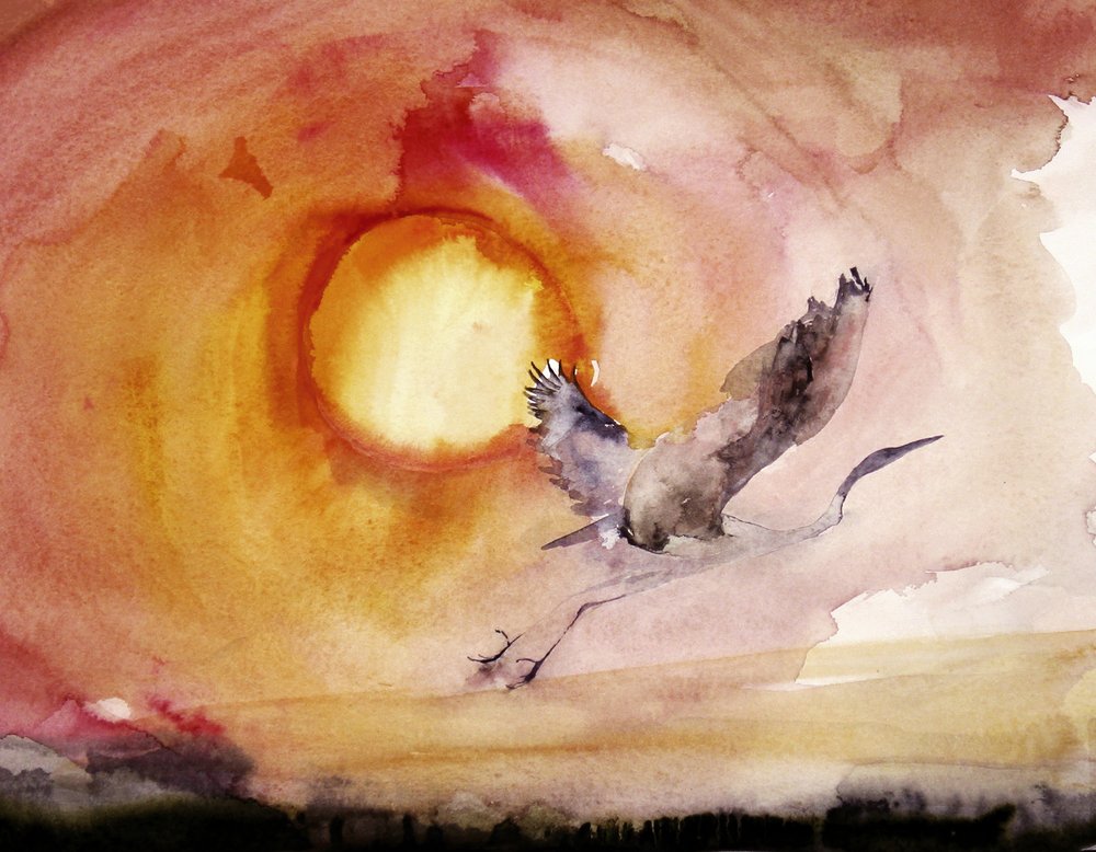 Levendige vogel bij zonsondergang door RodMacIver