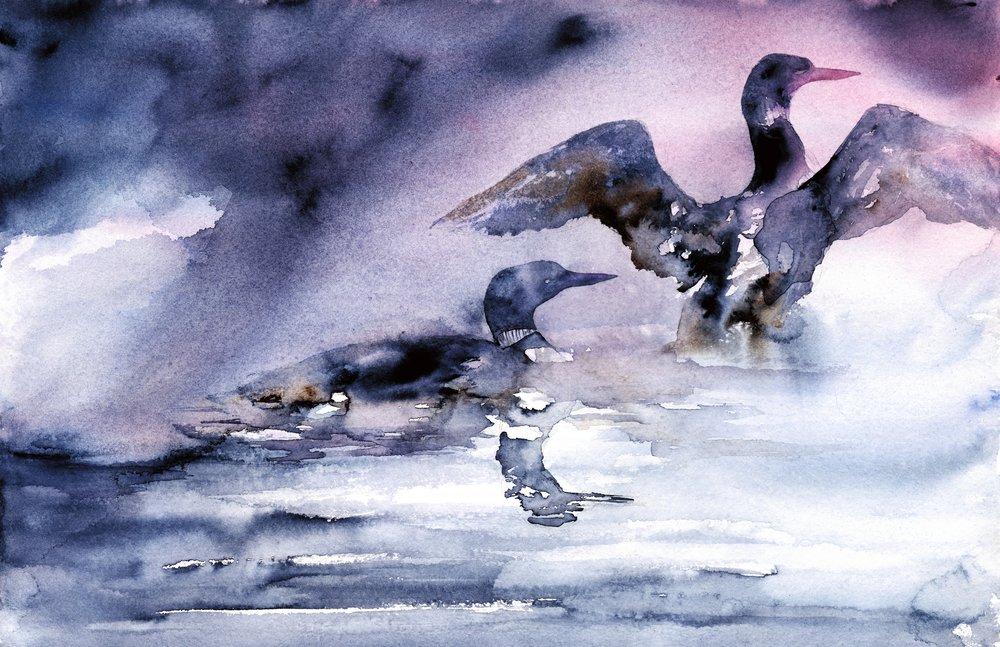 Watervogels bij zonsondergang door RodMacIver
