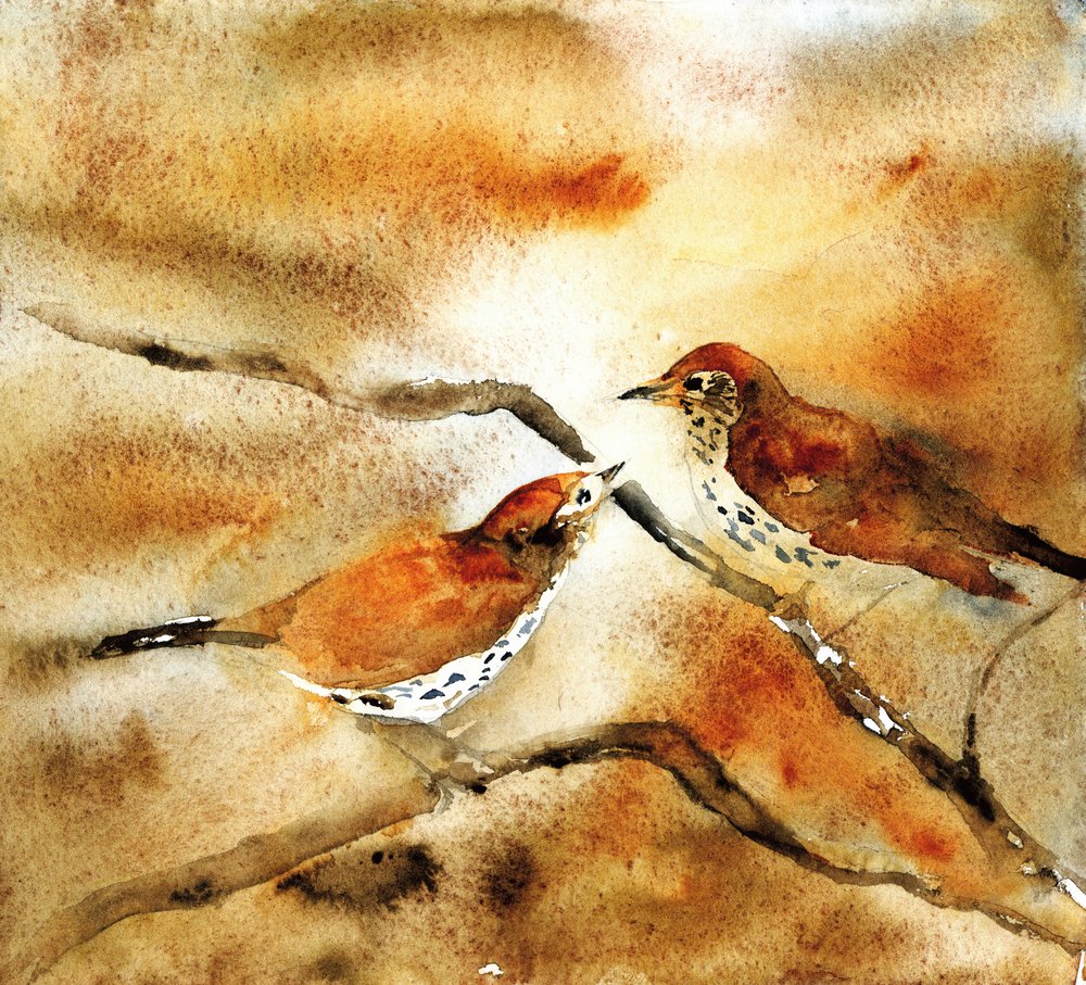 Vogels in aquarel op een tak door RodMacIver